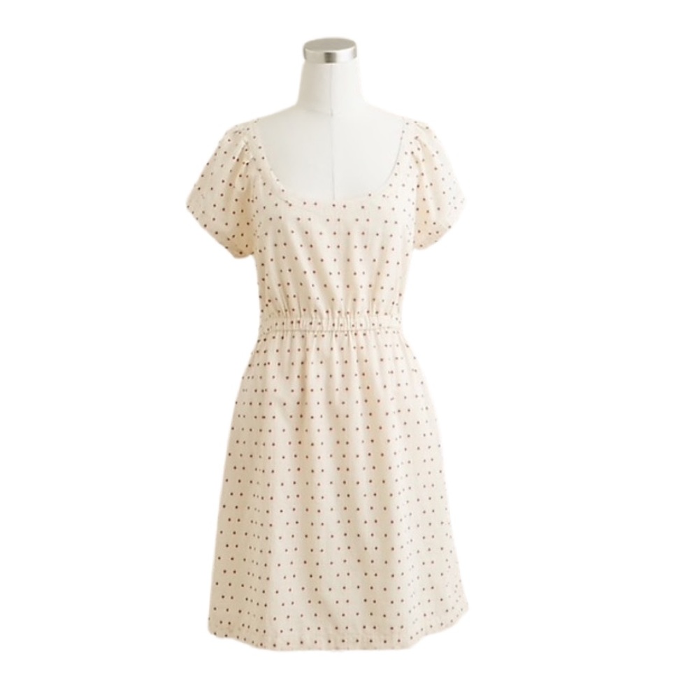 J. Crew Polka Dot Tea Stained Cotton Dobby Mini Dress